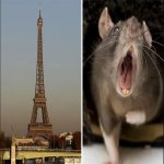 CHILLIDOS EN LA OSCURIDAD