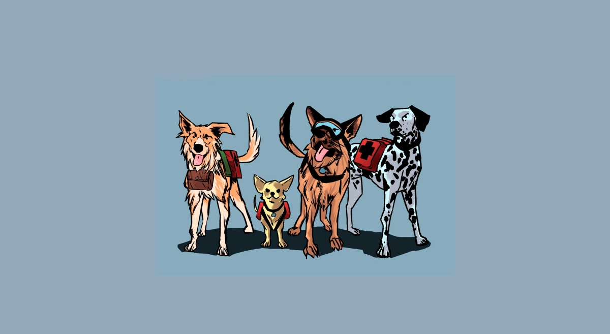 Aventuras en Cuatro Patas